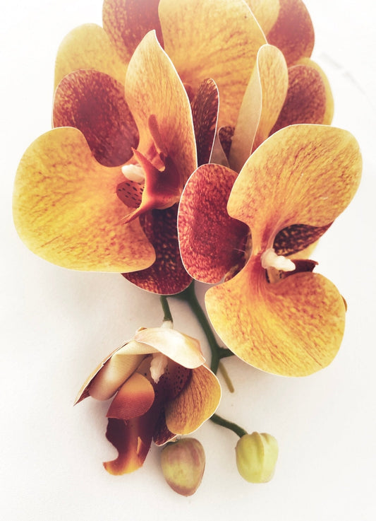 Artificial Orange Orchid Stem, Orange Orchid Flower, Flowers Gift for Her, Real Touch Orchids, Faux Orchid Flowers, Wedding Flowers, Artificial Flowers