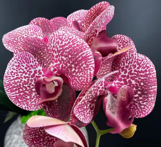 Artificial Orchid Flower, Dark Pink Spotted Orchid Stem, Flowers Gift for Her, Real Look Orchids, Artificial Flowers, Pink Flowers, Faux Orchid Flower*