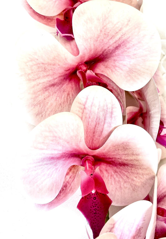 Artificial Orchid Flower, Real Touch Orchids, Variegated Pink Orchid Stem, Phalaenopsis Orchid Flower Artificial Flowers Pink Flowers, Gift for Her