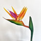 Artificial Birds of Paradise, 1x Flower. Tropical Flowers, Yellow Flowers, Artificial Flowers, Fake Birds of Paradise, Silk Spring Wedding Flowers