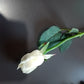Job Lot 28 x Real Touch Cream Bud Roses, White Artificial Flowers plus loose Leaves(not attached) . Ideal for Button Holes, Corsages. Faux Flowers, Wedding Flowers