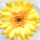 Artificial Gerbera Flowers Yellow Faux Flowers, Fake Gerbera, Gerbera Daisy Flowers, Silk Spring Wedding.  Yellow Flowers, Gift for Her.