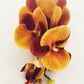 Artificial Orange Orchid Stem, Orange Orchid Flower, Flowers Gift for Her, Real Touch Orchids, Faux Orchid Flowers, Wedding Flowers, Artificial Flowers