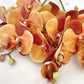 Artificial Orange Orchid Stem, Orange Orchid Flower, Flowers Gift for Her, Real Touch Orchids, Faux Orchid Flowers, Wedding Flowers, Artificial Flowers