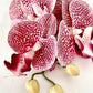 Artificial Orchid Flower Gift for Her, Real Look Orchids, Dark Pink Spotted Orchid Stem, Artificial Flowers, Pink Flowers, Faux Orchid Flower