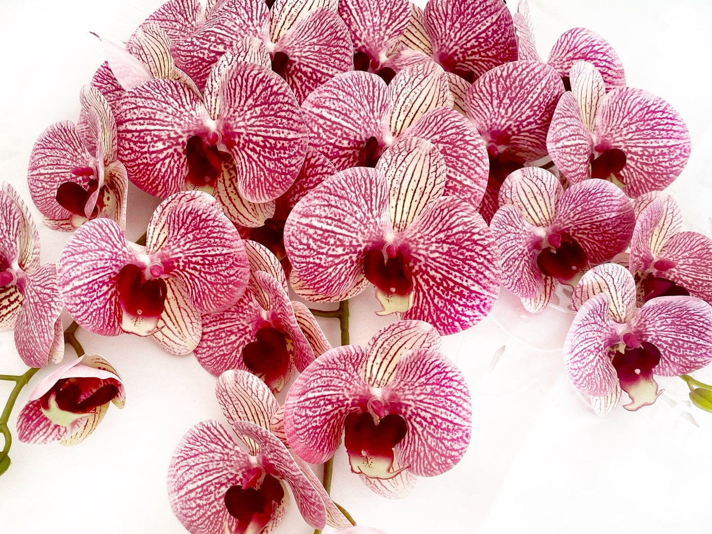 Artificial Orchid Flower, Gift for Her, Real Look Orchids, Pink Striped Orchid Stem, Phalaenopsis, Artificial Faux Orchid Flower