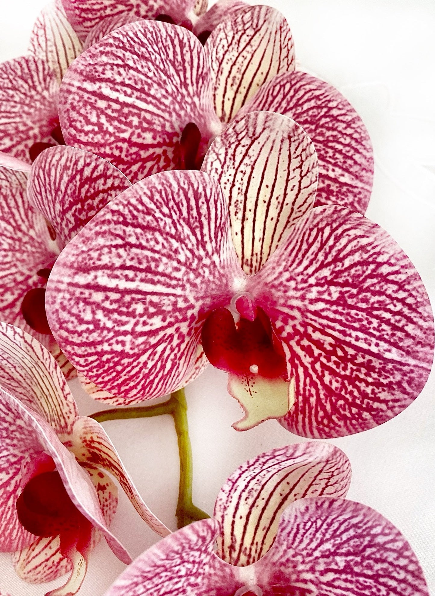 Artificial Orchid Flower, Gift for Her, Real Look Orchids, Pink Striped Orchid Stem, Phalaenopsis, Artificial Faux Orchid Flower