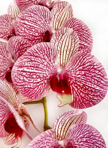 Artificial Orchid Flower, Gift for Her, Real Look Orchids, Pink Striped Orchid Stem, Phalaenopsis, Artificial Faux Orchid Flower