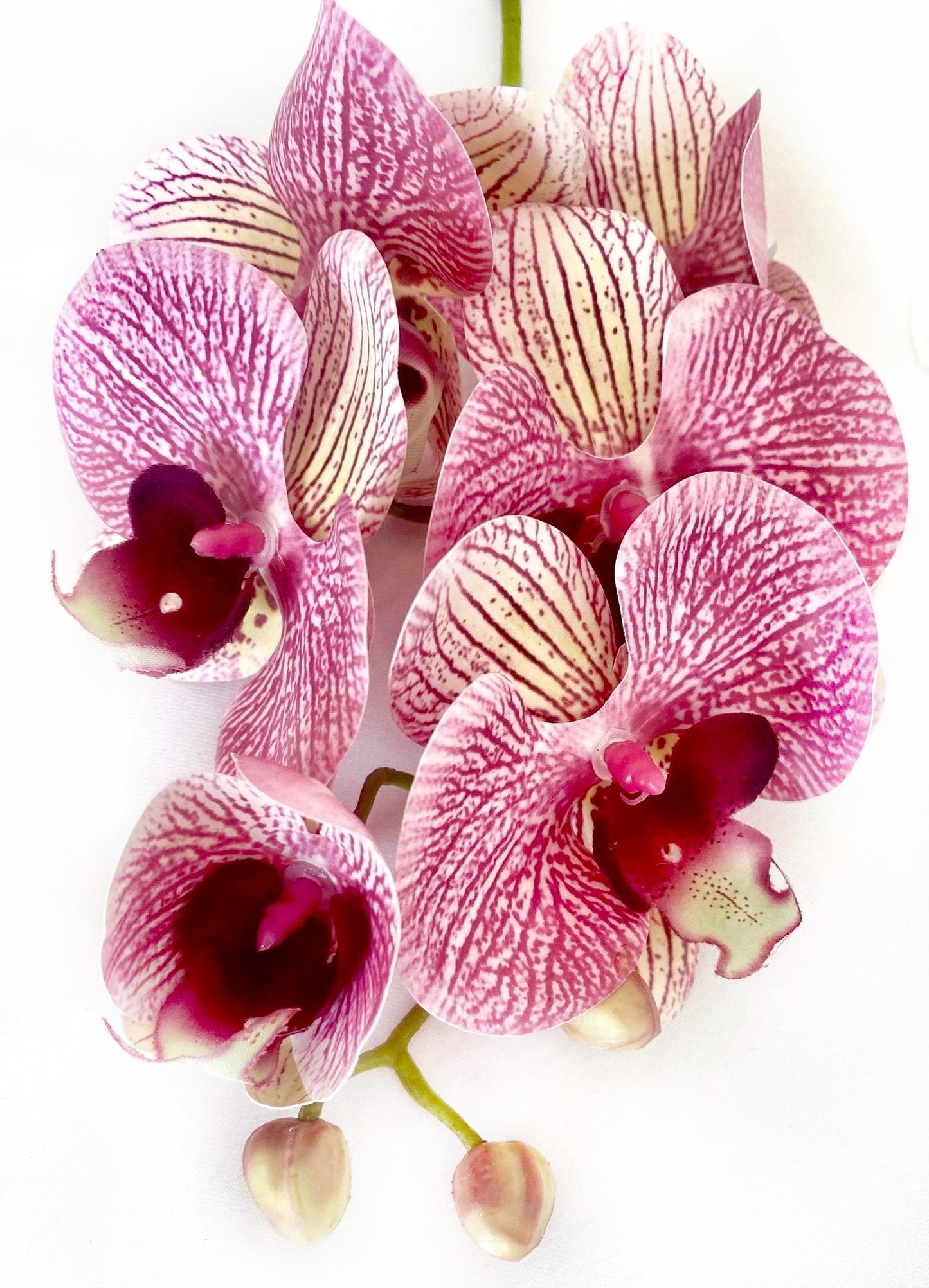 Artificial Orchid Flower, Gift for Her, Real Look Orchids, Pink Striped Orchid Stem, Phalaenopsis, Artificial Faux Orchid Flower