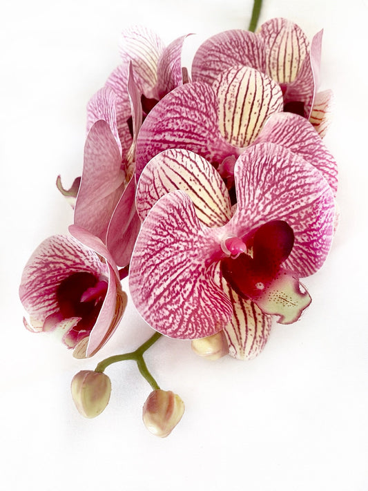 Artificial Orchid Flower, Gift for Her, Real Look Orchids, Pink Striped Orchid Stem, Phalaenopsis, Artificial Faux Orchid Flower