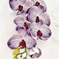 Artificial Orchid Flower, Gift for Her, Real Look Orchids, Purple Striped Orchid Stem, Phalaenopsis, Faux Orchid Flower