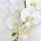 Artificial Orchid Flower Gift for Her, Real Look Orchids, White Orchid Phalaenopsis, Faux Orchid Stem Artificial Flowers White Flowers