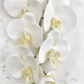 Artificial Orchid Flower Gift for Her, Real Look Orchids, White Orchid Phalaenopsis, Faux Orchid Stem Artificial Flowers White Flowers