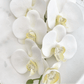 Artificial Orchid Flower Gift for Her, Real Look Orchids, White Orchid Phalaenopsis, Faux Orchid Stem Artificial Flowers White Flowers