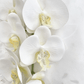 Artificial Orchid Flower Gift for Her, Real Look Orchids, White Orchid Phalaenopsis, Faux Orchid Stem Artificial Flowers White Flowers
