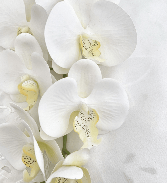 Artificial Orchid Flower Gift for Her, Real Look Orchids, White Orchid Phalaenopsis, Faux Orchid Stem Artificial Flowers White Flowers