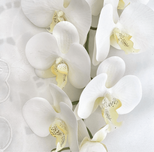 Artificial Orchid Flower Gift for Her, Real Look Orchids, White Orchid Phalaenopsis, Faux Orchid Stem Artificial Flowers White Flowers