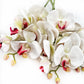 Artificial Orchid Flower Gift for Her, Real Touch Orchids, White & Pink Orchid Stem, Phalaenopsis, Faux Orchid, Artificial White Flowers