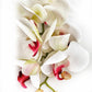 Artificial Orchid Flower Gift for Her, Real Touch Orchids, White & Pink Orchid Stem, Phalaenopsis, Faux Orchid, Artificial White Flowers