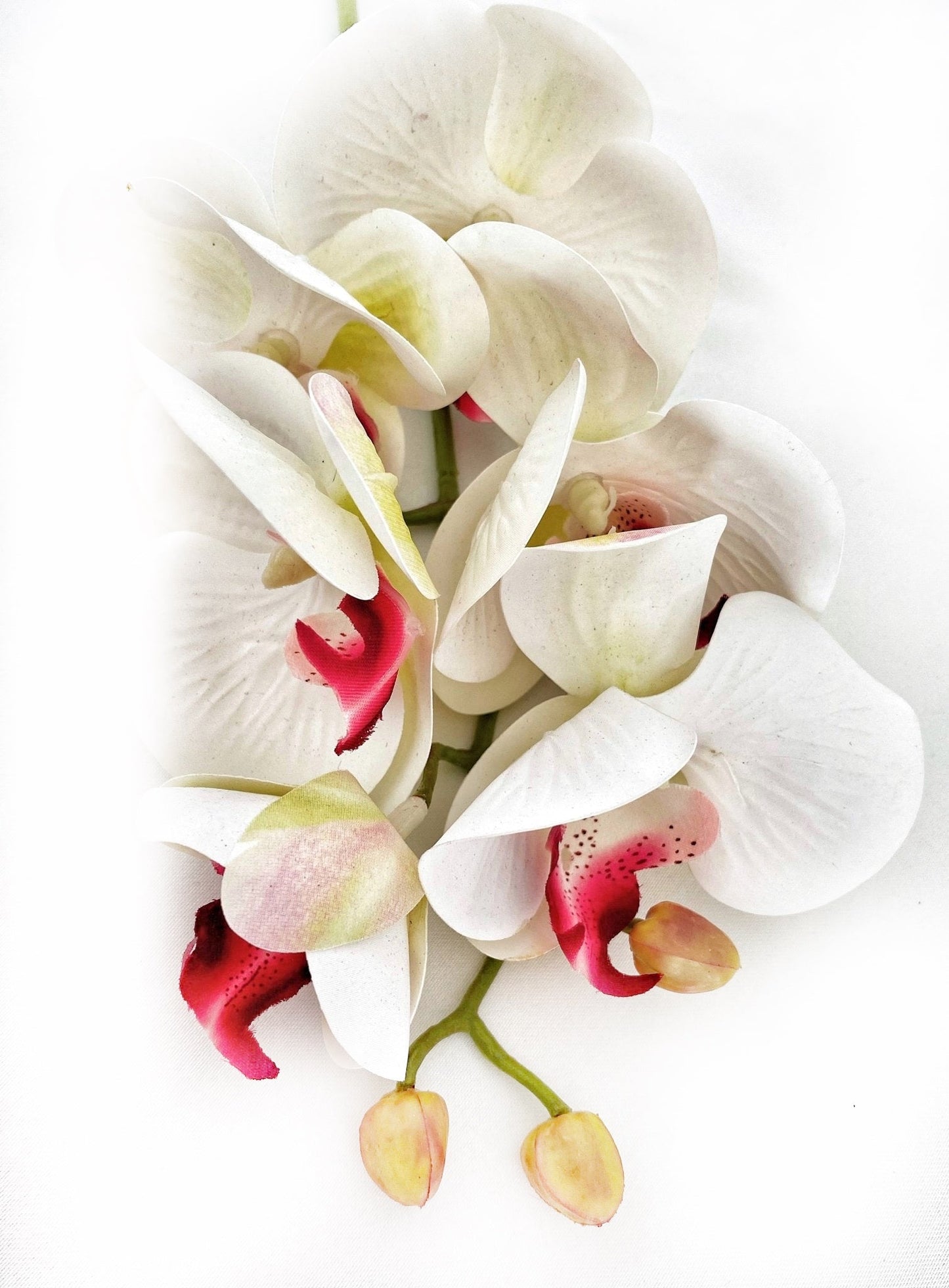 Artificial Orchid Flower Gift for Her, Real Touch Orchids, White & Pink Orchid Stem, Phalaenopsis, Faux Orchid, Artificial White Flowers