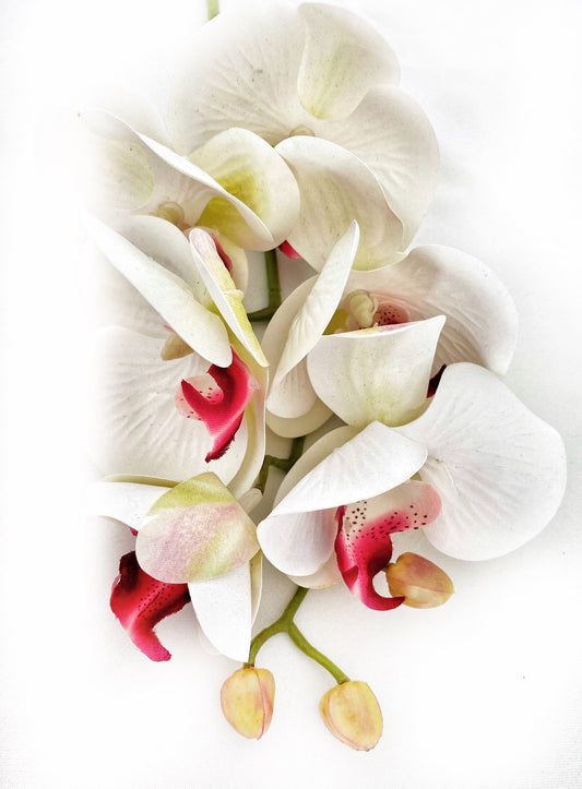 Artificial Orchid Flower Gift for Her, Real Touch Orchids, White & Pink Orchid Stem, Phalaenopsis, Faux Orchid, Artificial White Flowers