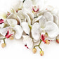Artificial Orchid Flower Gift for Her, Real Touch Orchids, White & Pink Orchid Stem, Phalaenopsis, Faux Orchid, Artificial White Flowers