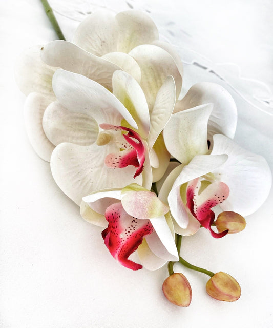 Artificial Orchid Flower Gift for Her, Real Touch Orchids, White & Pink Orchid Stem, Phalaenopsis, Faux Orchid, Artificial White Flowers