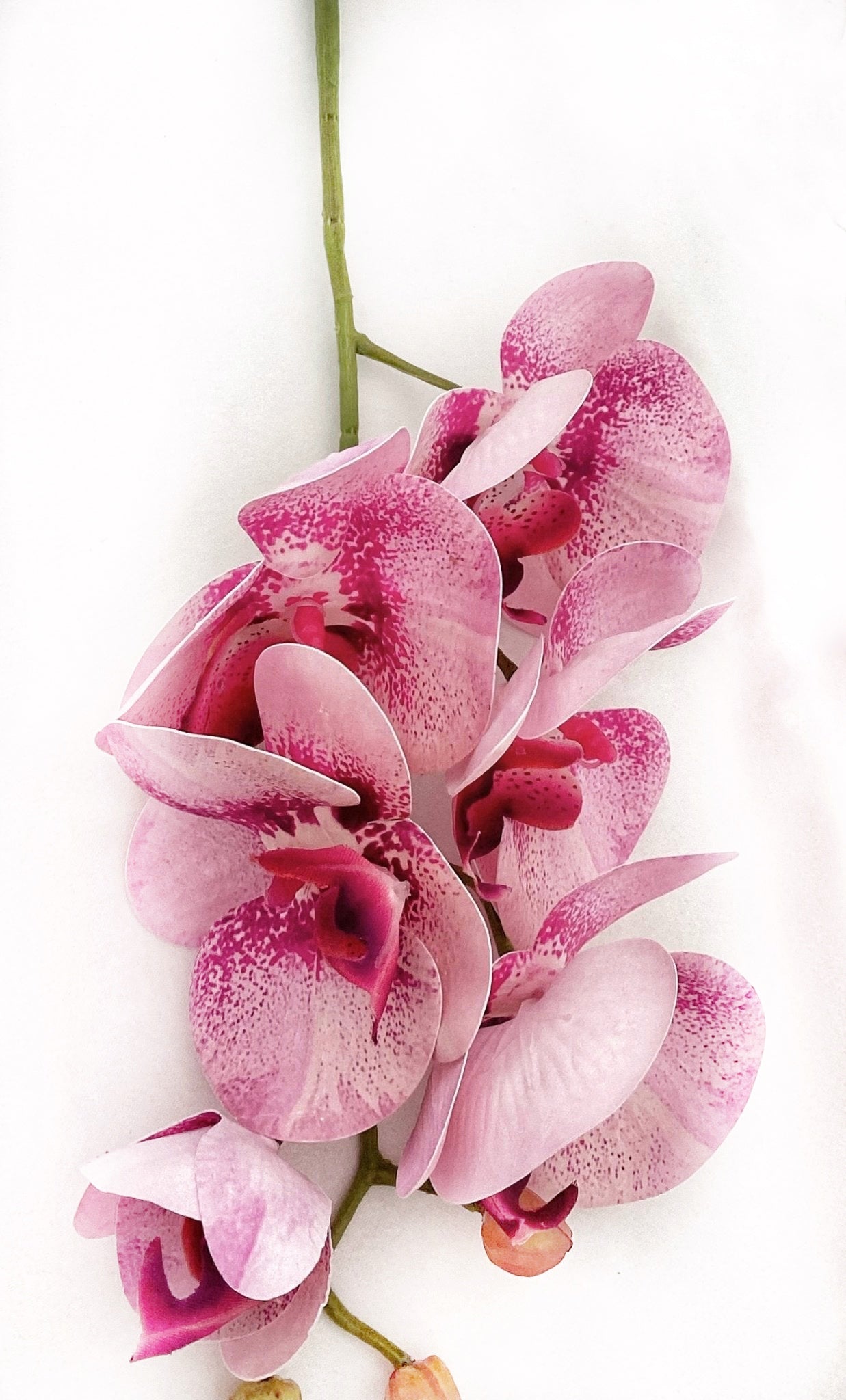 Artificial Orchid Flower, Pink Orchid Stem, Pink Flowers, Real Touch Orchids, Faux Orchid Artificial Flowers Gift for Her, Wedding Flowers, Home Decor