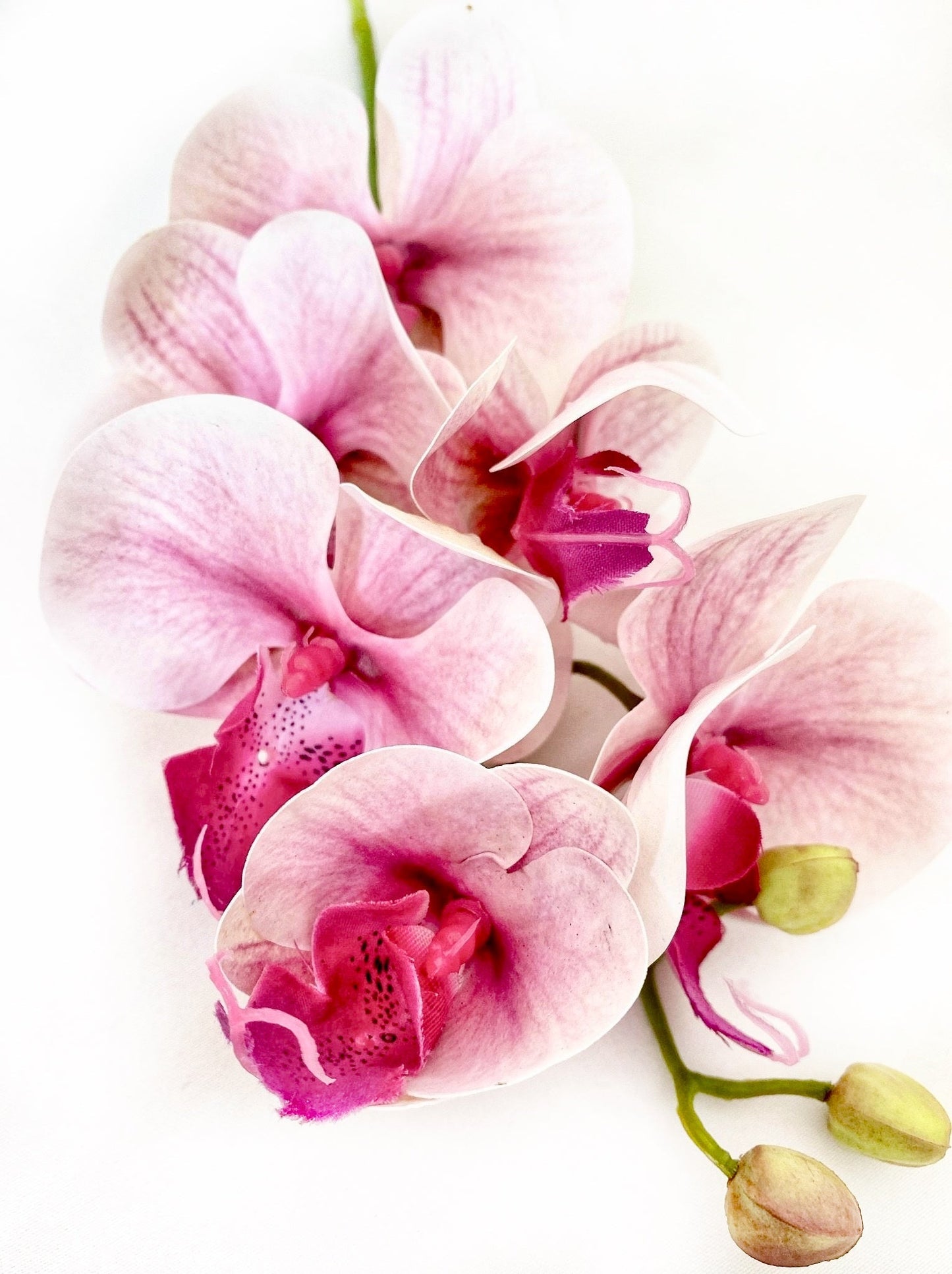 Artificial Orchid Flower, Real Touch Orchids, Variegated Pink Orchid Stem, Phalaenopsis Orchid Flower Artificial Flowers Pink Flowers, Gift for Her