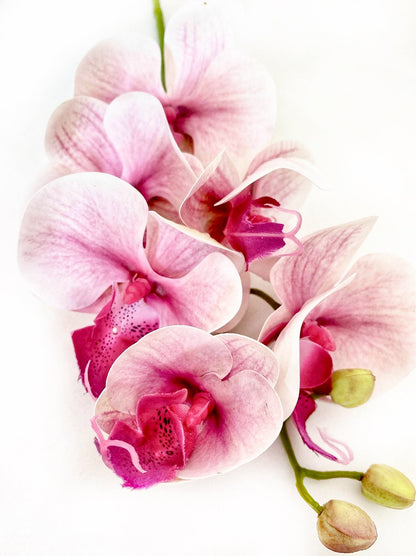 Artificial Orchid Flower, Real Touch Orchids, Variegated Pink Orchid Stem, Phalaenopsis Orchid Flower Artificial Flowers Pink Flowers, Gift for Her