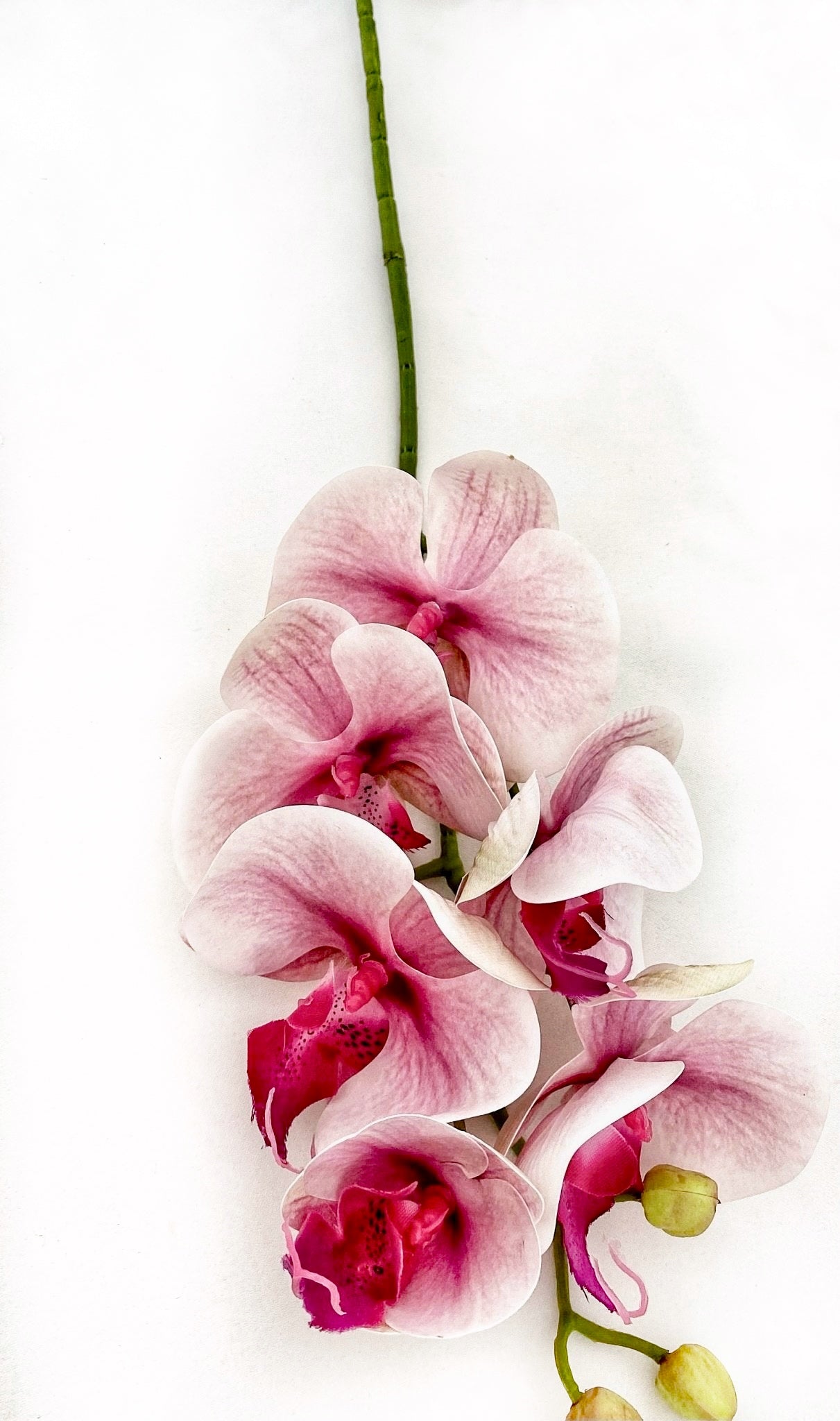 Artificial Orchid Flower, Real Touch Orchids, Variegated Pink Orchid Stem, Phalaenopsis Orchid Flower Artificial Flowers Pink Flowers, Gift for Her