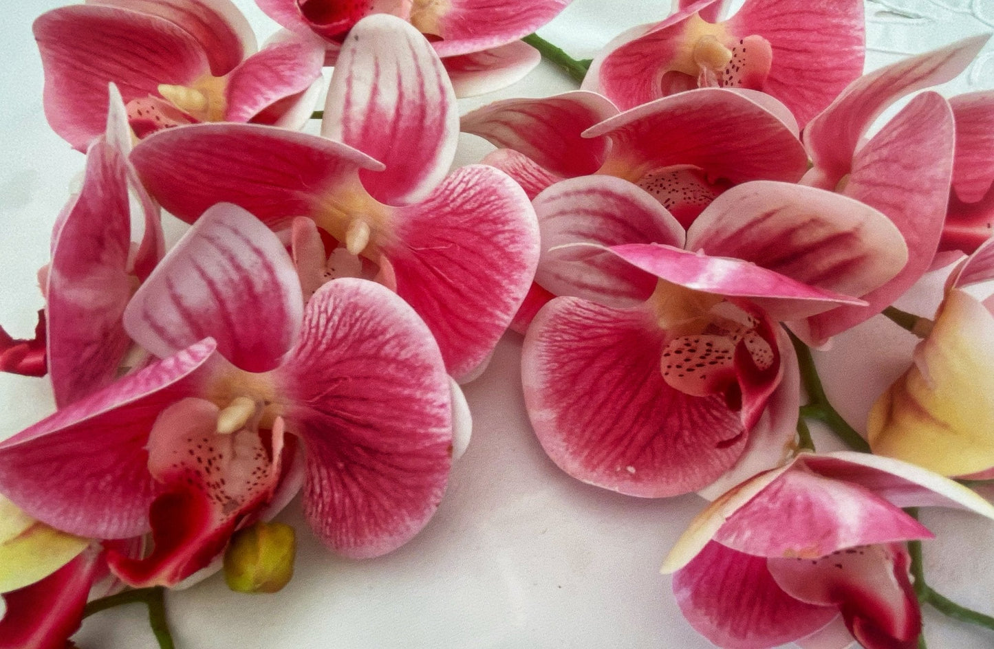 Artificial Orchid Flower Gift for Her, Real Touch Orchids, Pink Orchid Stem Phalaenopsis, Artificial Flowers Faux Orchid, Pink Flowers, Wedding