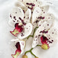 Artificial Orchid Flower Gift for Her, Real Touch Orchids White & Red Spotted Orchid Stem, White Flowers, Faux Artificial Flowers Wedding Flowers
