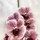 Artificial Orchid Stem, Magenta Pink Spotted Orchid Flower, Pink Flowers, Flowers Gift for Her, Artificial Flowers, Real Look Orchids Faux Orchid Flower