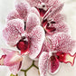 Artificial Orchid Stem, Magenta Pink Spotted Orchid Flower, Pink Flowers, Flowers Gift for Her, Artificial Flowers, Real Look Orchids Faux Orchid Flower