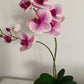 Artificial Orchid Plant, Gift for Her, Real Look Orchids, Pink Orchid Pot Plant, Phalaenopsis, Artificial Flowers, Silk, Faux Orchid