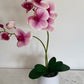 Artificial Orchid Plant, Gift for Her, Real Look Orchids, Pink Orchid Pot Plant, Phalaenopsis, Artificial Flowers, Silk, Faux Orchid