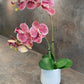 Artificial Orchid Plant, Gift for Her, Real Look Orchids, Spotted Pink Orchid Pot Plant, Phalaenopsis, Artificial Flowers, Faux Orchid