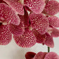 Artificial Orchid Plant, Gift for Her, Real Look Orchids, Spotted Pink Orchid Pot Plant, Phalaenopsis, Artificial Flowers, Faux Orchid