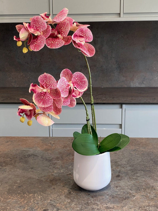 Artificial Orchid Plant, Gift for Her, Real Look Orchids, Spotted Pink Orchid Pot Plant, Phalaenopsis, Artificial Flowers, Faux Orchid