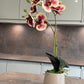 Artificial Orchid Plant, Gift for Her, Real Look Orchids, Spotted Red Orchid Pot Plant, Phalaenopsis, Artificial Flowers, Faux Orchid
