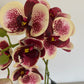 Artificial Orchid Plant, Gift for Her, Real Look Orchids, Spotted Red Orchid Pot Plant, Phalaenopsis, Artificial Flowers, Faux Orchid
