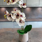 Artificial Orchid Plant, Gift for Her, Real Look Orchids, White Spotted Orchid Pot Plant, Phalaenopsis, Artificial Flowers, Faux Orchid