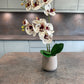 Artificial Orchid Plant, Gift for Her, Real Look Orchids, White Spotted Orchid Pot Plant, Phalaenopsis, Artificial Flowers, Faux Orchid