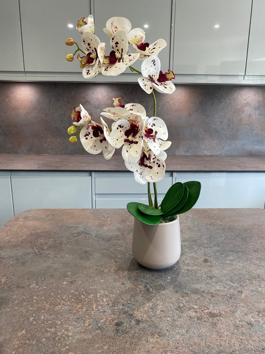 Artificial Orchid Plant, Gift for Her, Real Look Orchids, White Spotted Orchid Pot Plant, Phalaenopsis, Artificial Flowers, Faux Orchid