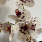 Artificial Orchid Plant, Gift for Her, Real Look Orchids, White Spotted Orchid Pot Plant, Phalaenopsis, Artificial Flowers, Faux Orchid