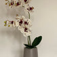 Artificial Orchid Plant, Gift for Her, Real Look Orchids, White Spotted Orchid Pot Plant, Phalaenopsis, Artificial Flowers, Faux Orchid