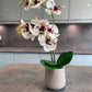 Artificial Orchid Plant, Gift for Her, Real Look Orchids, White Spotted Orchid Pot Plant, Phalaenopsis, Artificial Flowers, Faux Orchid