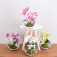 Artificial Orchid Plants, Faux Potted Orchids Phalaenopsis Orchids 28cm Potted Orchid in Purple, Pink or White Silk Orchid Flowers
