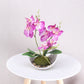 Artificial Orchid Plants, Faux Potted Orchids Phalaenopsis Orchids 28cm Potted Orchid in Purple, Pink or White Silk Orchid Flowers